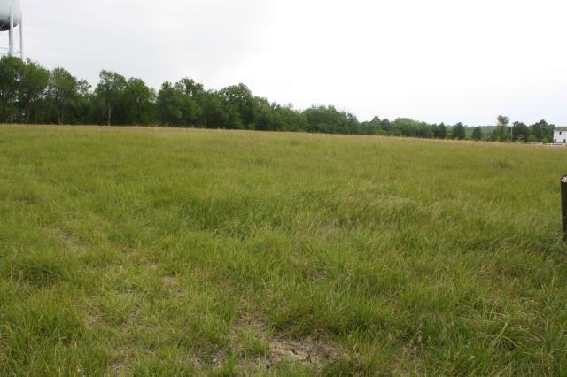 Photo 1 of 6 — 25501 E Lawnwood Court, Lee's Summit, MO 64086