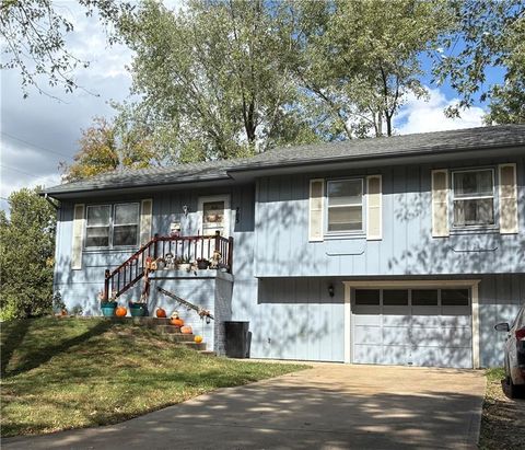 Photo of 218 Crawford Drive, Clinton, MO 64735 (MLS # 2579572)