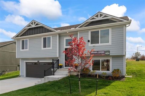 801 SE Dry Creek Drive, Oak Grove, MO 64075 - #: 2476603