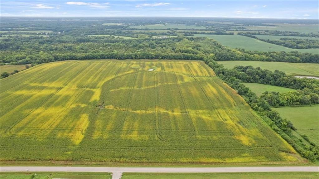 21 Acres Staley Mound Road