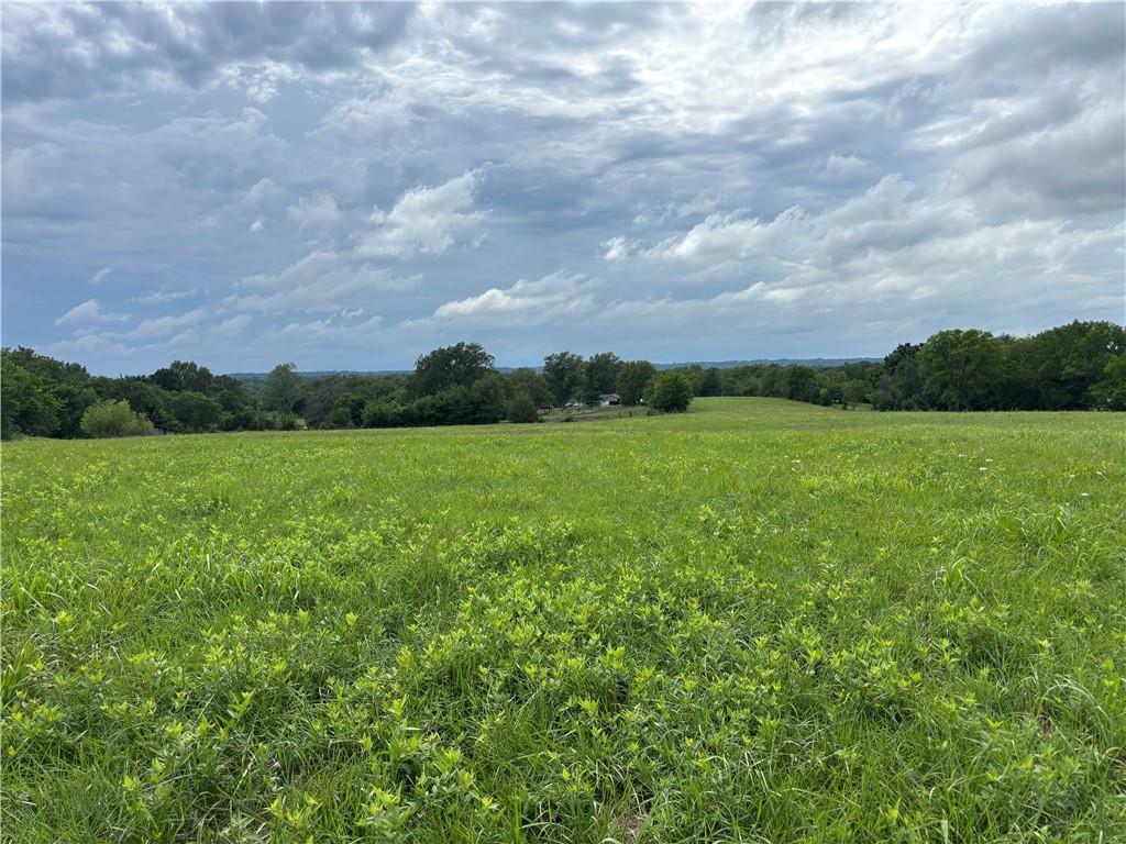 2600 Mcneel Road