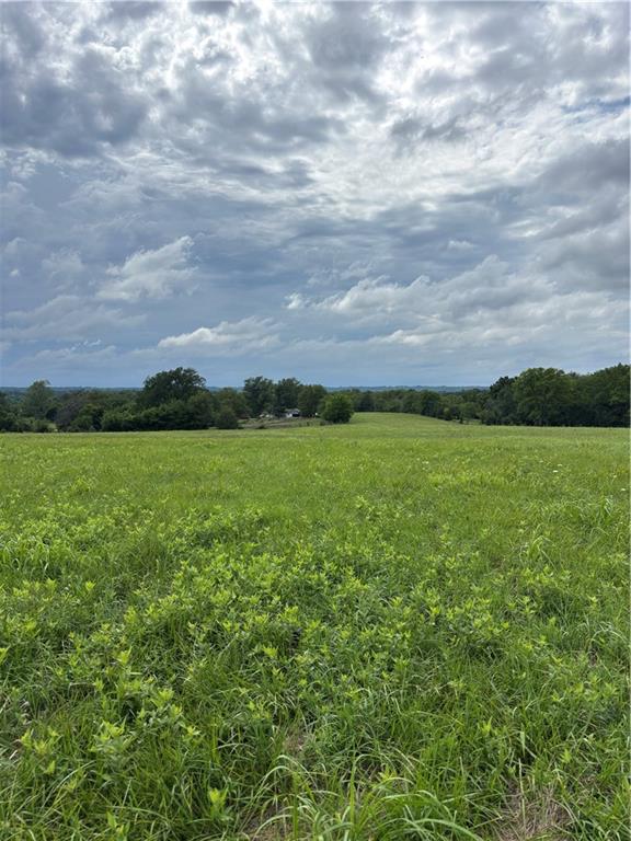 2600 Mcneel Road