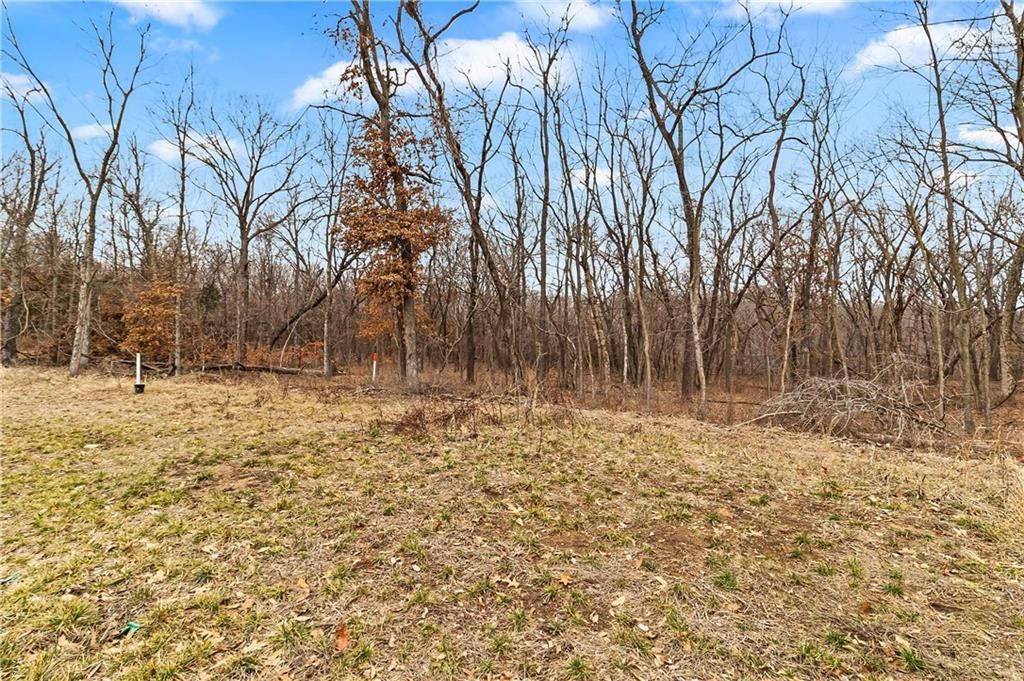 Photo of 16917 Wallace Way, Loch Lloyd, MO 64012 (MLS # 2534434)