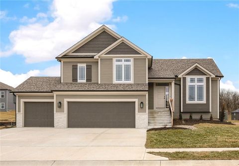 16725 NW 124 Terrace, Platte City, MO 64079 - #: 2502960