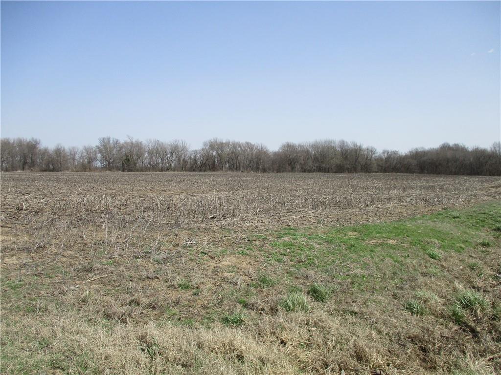 NW Belleview Road