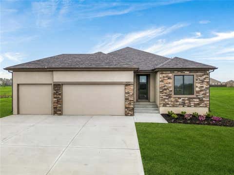 Photo of 8004 SE Hoot Owl Street, Blue Springs, MO 64014 (MLS # 2633641)