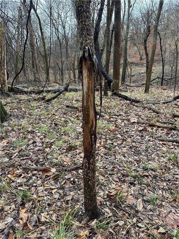 Nelson, Missouri 65347, United States, ,Land,Active,257649