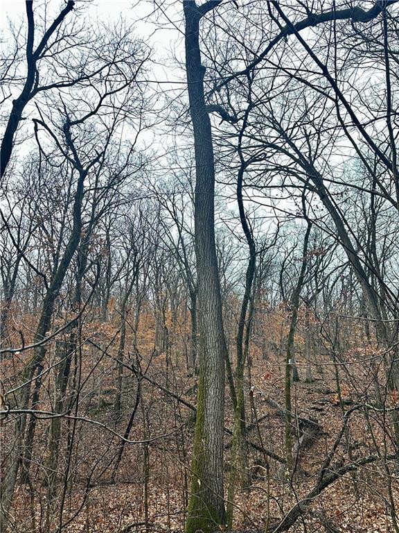 Nelson, Missouri 65347, United States, ,Land,Active,257649