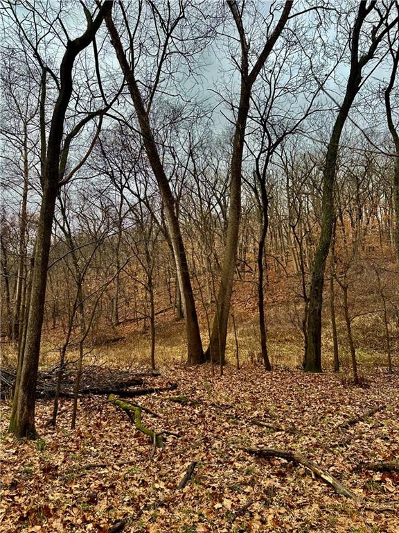 Nelson, Missouri 65347, United States, ,Land,Active,257649