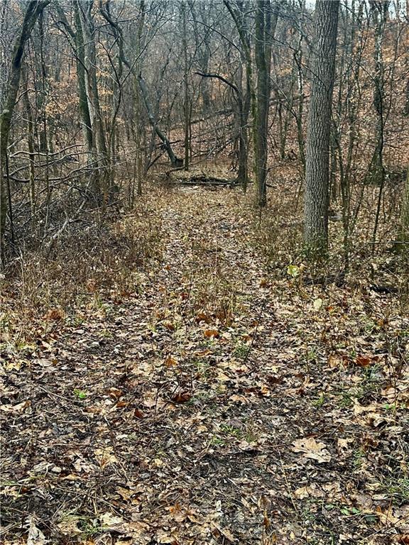 Nelson, Missouri 65347, United States, ,Land,Active,257649