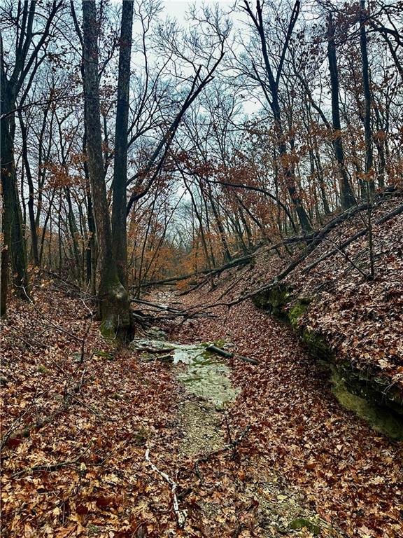 Nelson, Missouri 65347, United States, ,Land,Active,257649