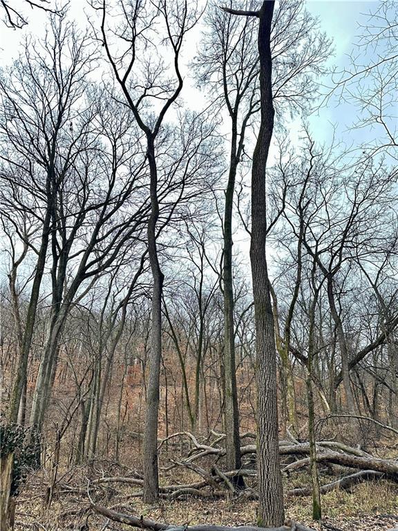 Nelson, Missouri 65347, United States, ,Land,Active,257649