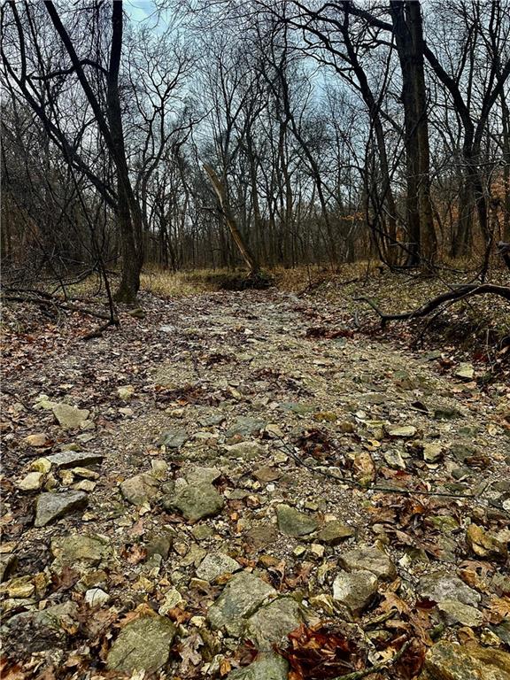 Nelson, Missouri 65347, United States, ,Land,Active,257649