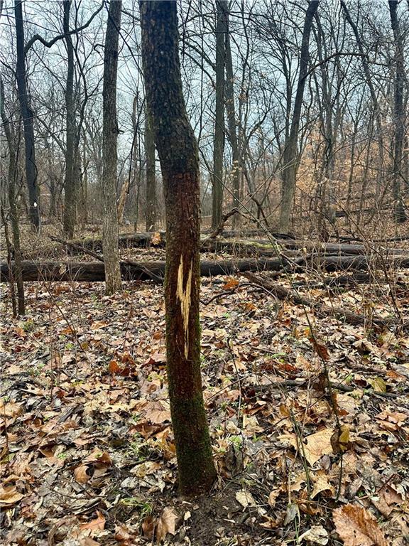 Nelson, Missouri 65347, United States, ,Land,Active,257649