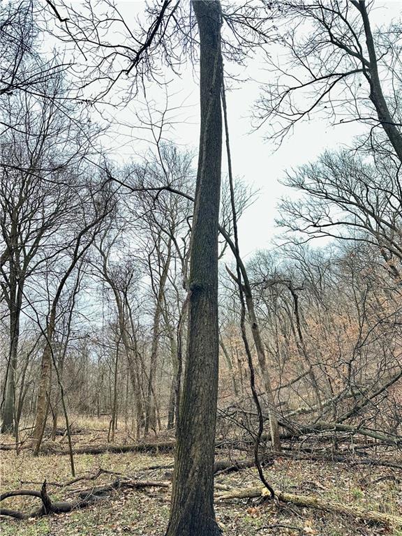 Nelson, Missouri 65347, United States, ,Land,Active,257649