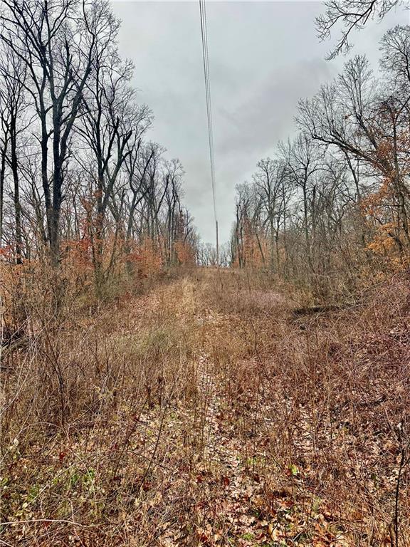 Nelson, Missouri 65347, United States, ,Land,Active,257649