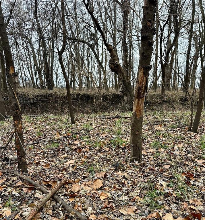 Nelson, Missouri 65347, United States, ,Land,Active,257649