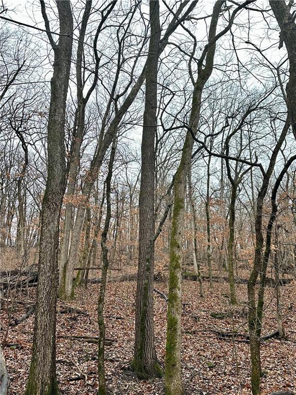 Nelson, Missouri 65347, United States, ,Land,Active,257649