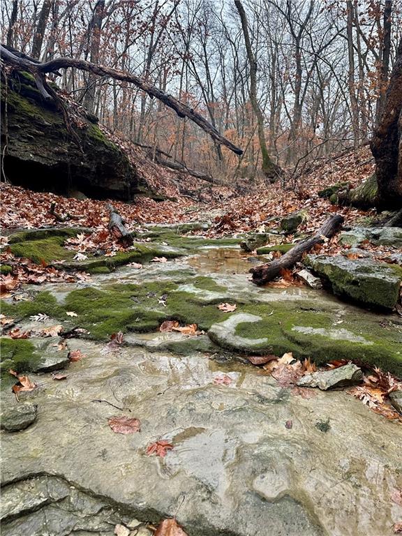 Nelson, Missouri 65347, United States, ,Land,Active,257649