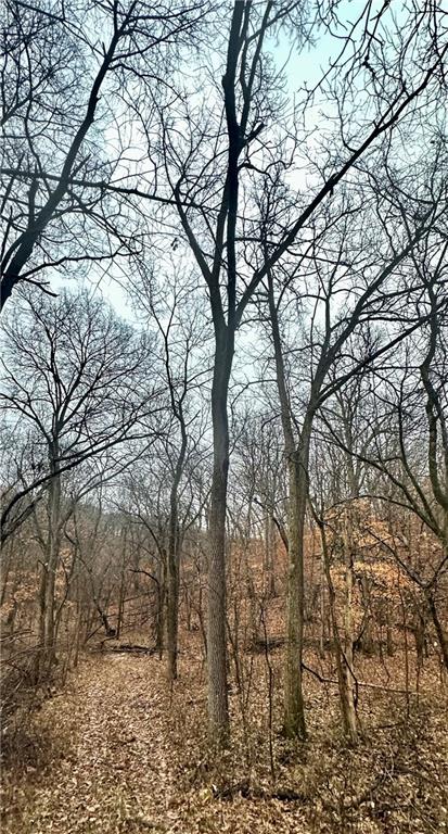 Nelson, Missouri 65347, United States, ,Land,Active,257649