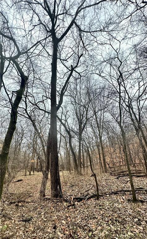 Nelson, Missouri 65347, United States, ,Land,Active,257649