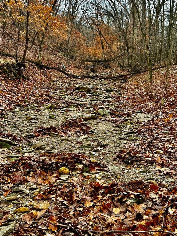 Nelson, Missouri 65347, United States, ,Land,Active,257649