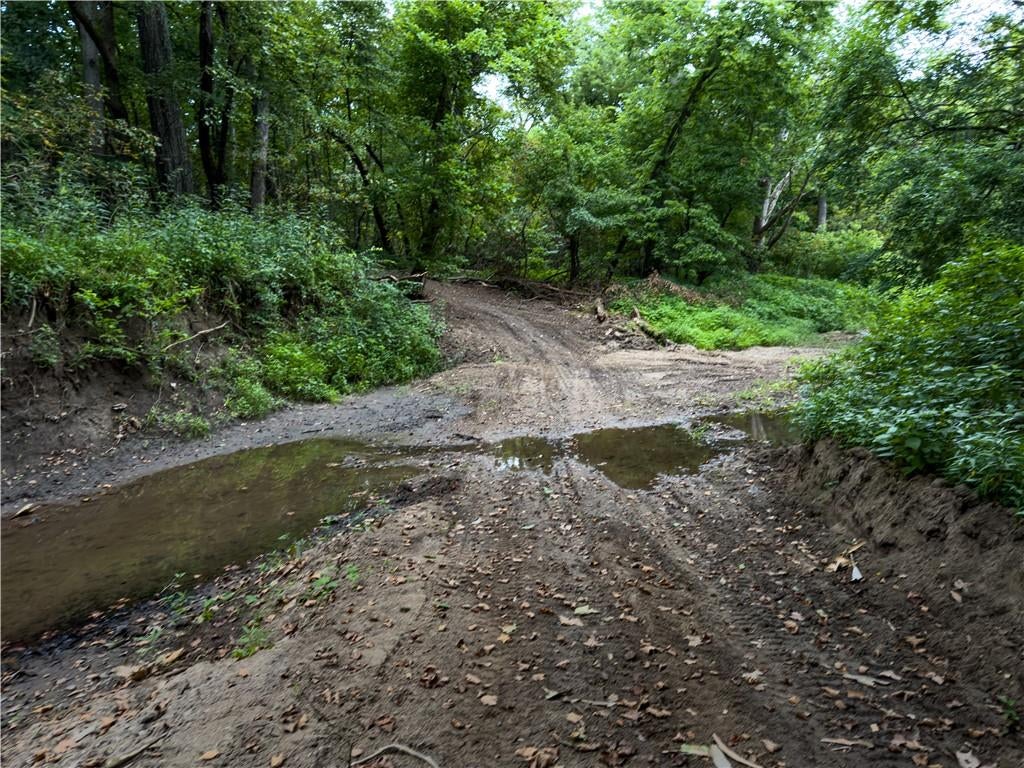 Fire Branch Road