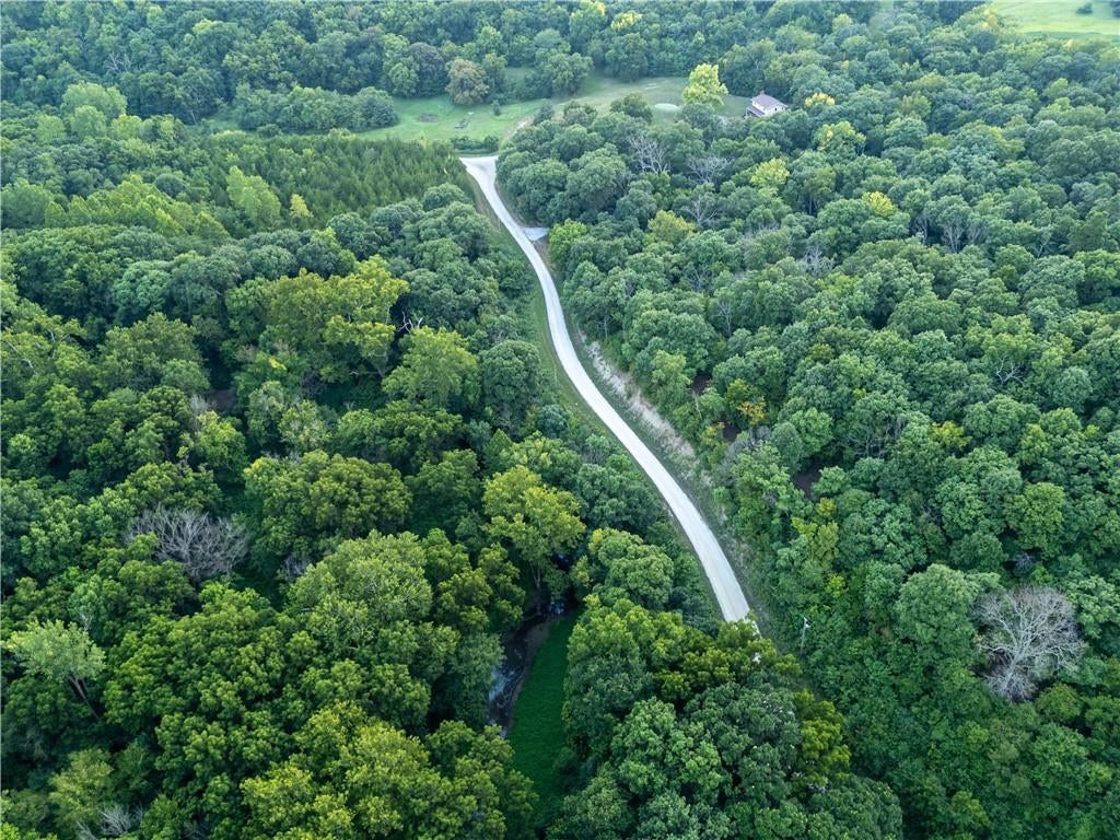 Fire Branch Road
