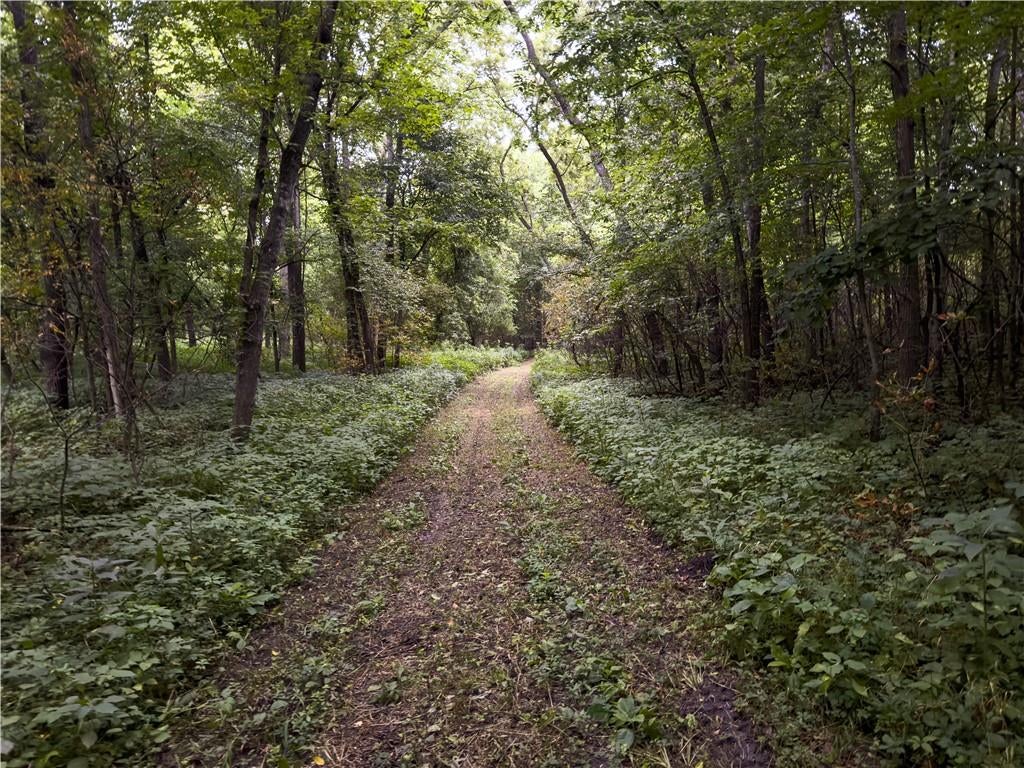 Fire Branch Road