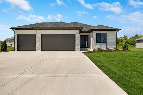 Photo of 216 SW Chelmsford Drive, Blue Springs, MO 64014 (MLS # 2616332)