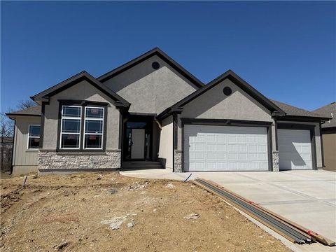 13503 NW TERRACE PARK Drive Parkville MO 64152