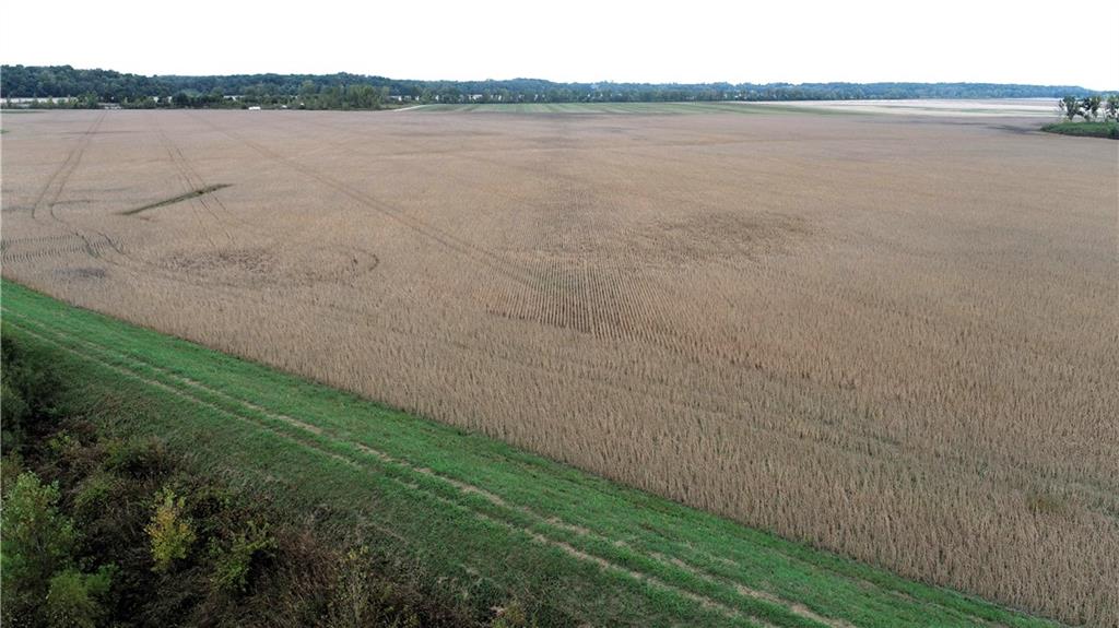 County Road 412 Road