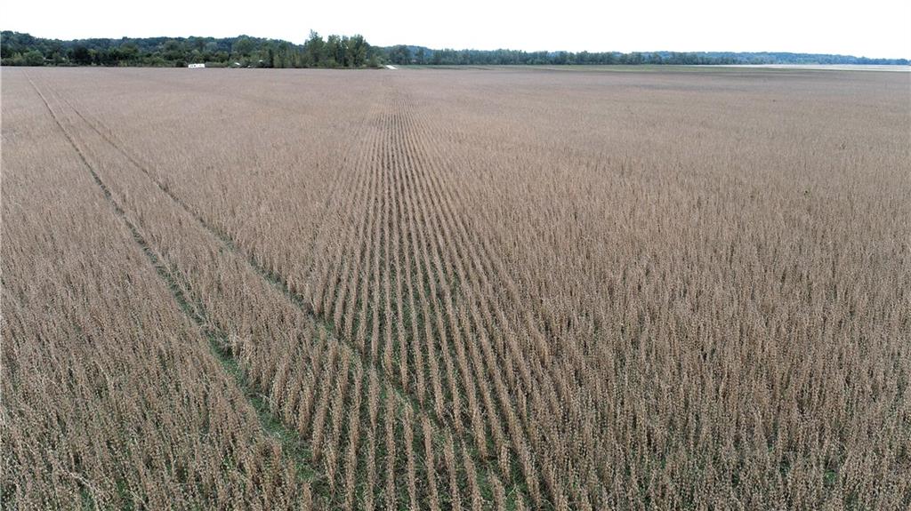 County Road 412 Road