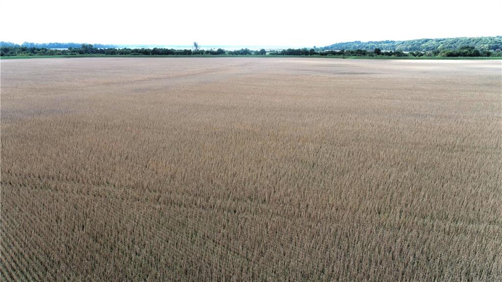 County Road 412 Road