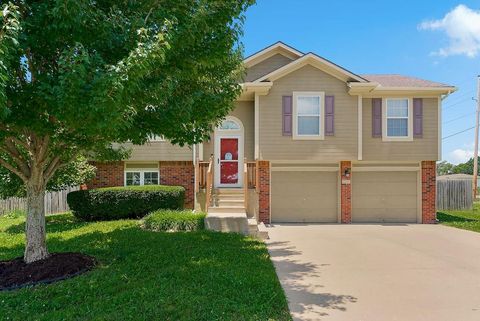 421 Golfview Drive, Pleasant Hill, MO 64080 - MLS#: 2628988