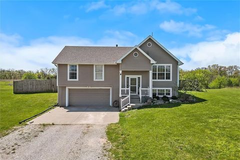 Photo of 32869 W 146th Street, Excelsior Springs, MO 64024 (MLS # 2616234)