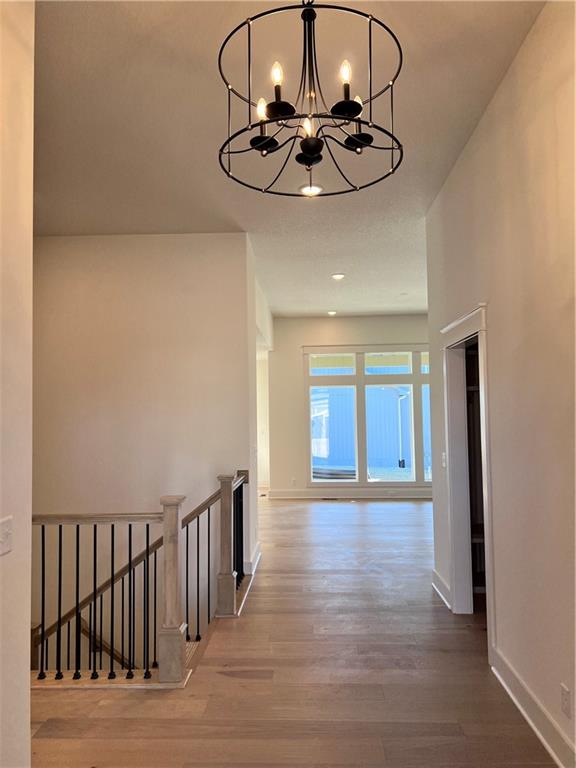 16401 Mustang Street