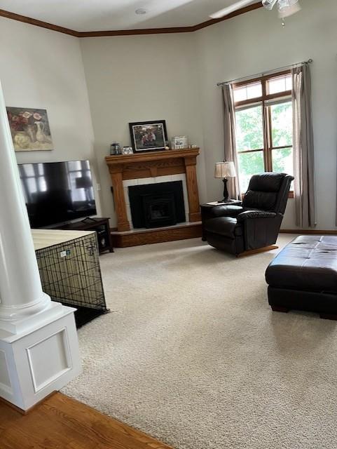 19704 Red Oak Boulevard