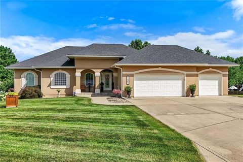 Photo of 1401 Ann Circle, Excelsior Springs, MO 64024 (MLS # 2628852)