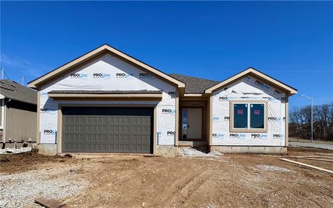 10101 N Oakland Avenue, Kansas City, MO 64157 - MLS#: 2519928
