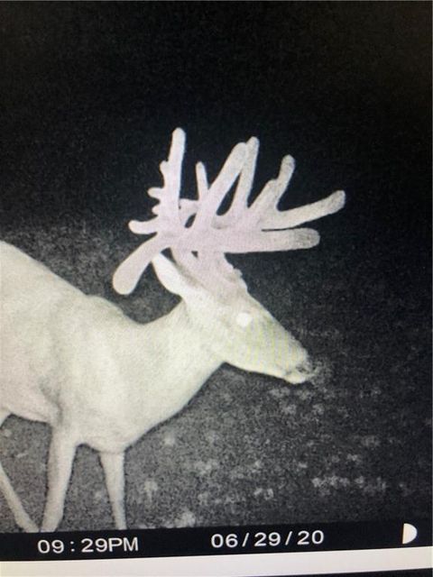 Photo of Highway NN Highway, Spickard, MO 64659 (MLS # 2616995)