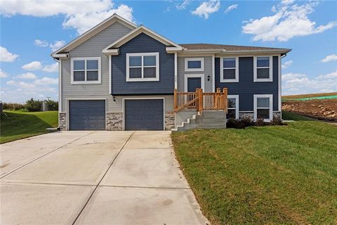 Photo of 607 Foxglove Lane, Raymore, MO 64083 (MLS # 2615666)