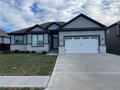 1607 NE Crumley Street Grain Valley MO 64029