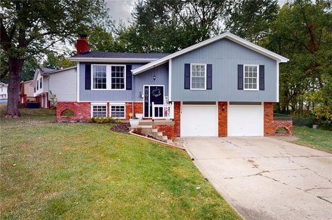 Photo of 17 NE 90th Terrace, Kansas City, MO 64155 (MLS # 2581475)