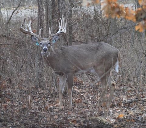 882 260th Street, Fort Scott, KS 66701 - MLS#: 2555344