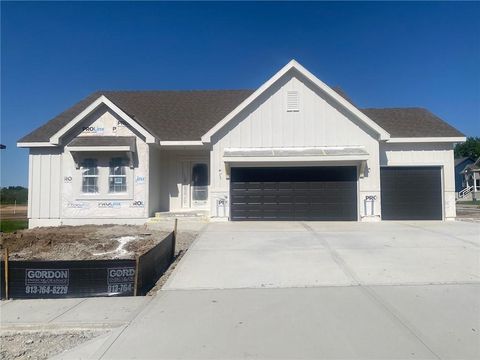 1102 Noah Lane, Kearney, MO 64060 - #: 2528944