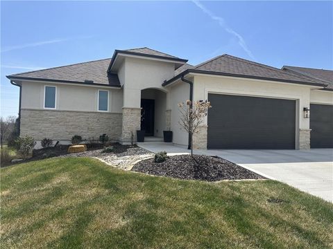 4209 NE Hideaway Drive Lee's Summit MO 64064