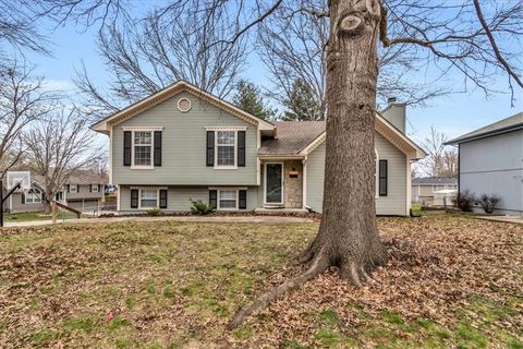603 SE Fox Run Court, Blue Springs, MO 64014 - MLS#: 2541185