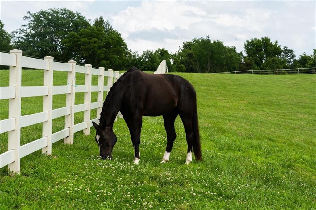 Lot 2 Bridle Parc Lane