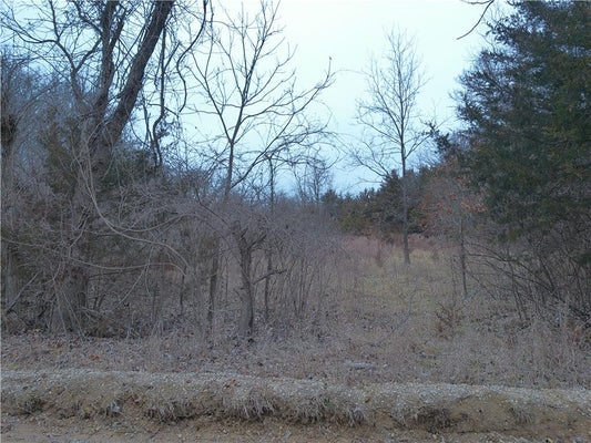 ADDRESS PRIVATE, OSAWATOMIE, KS 66064 - Image bc1cf7d37b05292898d36c7dcb2f5c8d/2475457852
